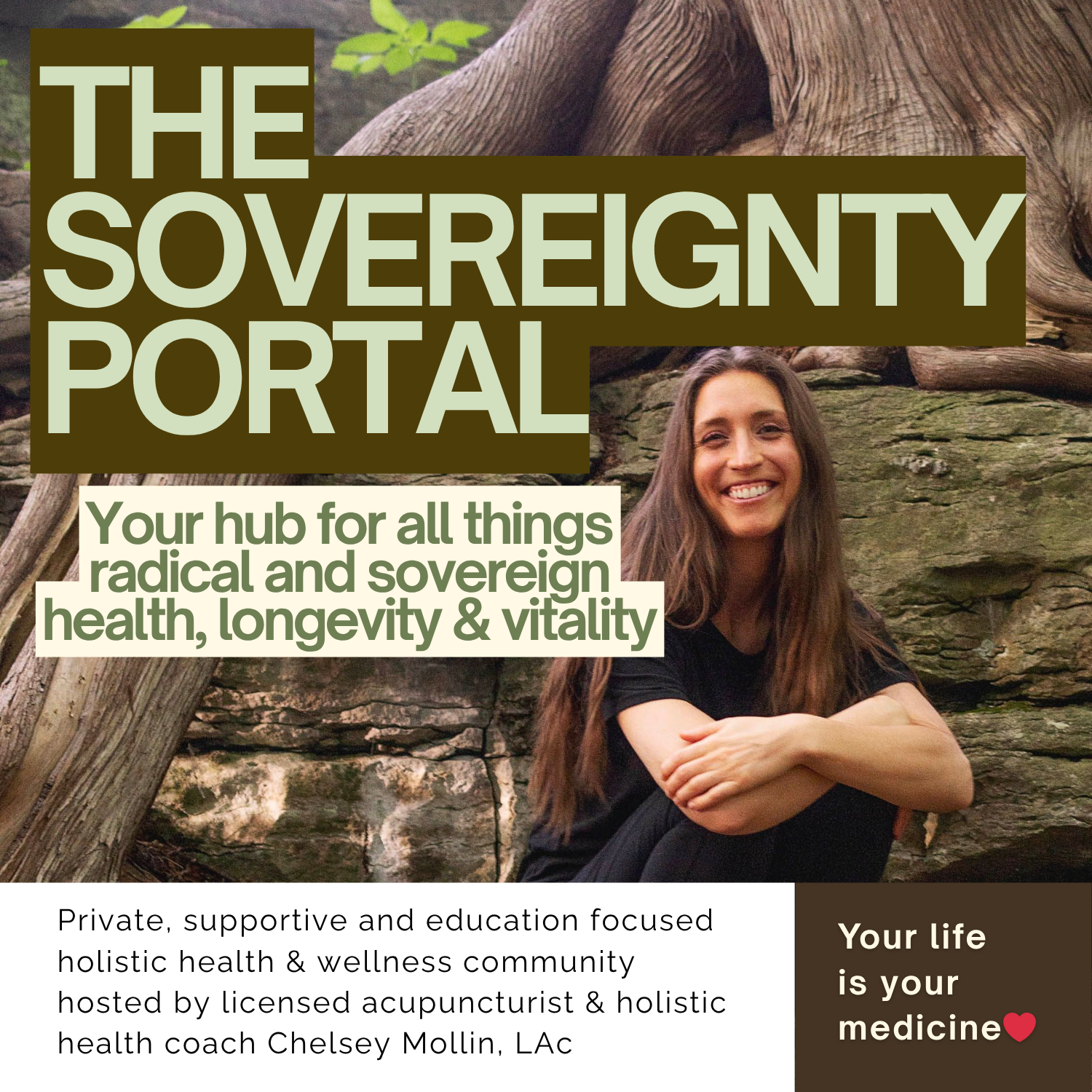 The Sovereignty portal