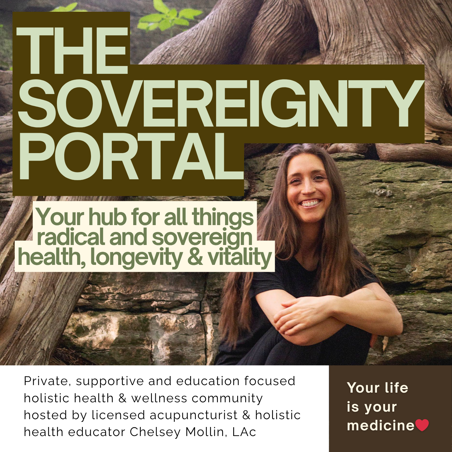 Image of Sovereignty Portal Membership