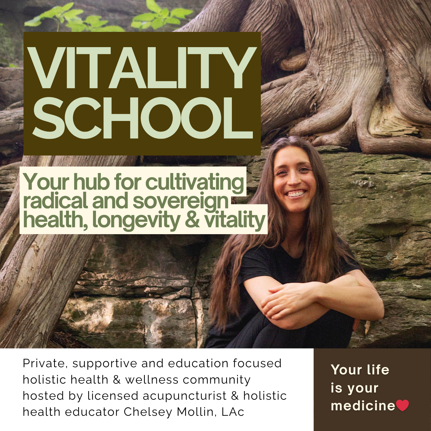 Vitality School